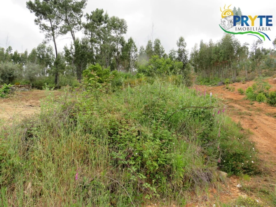 Quinta T2 para Venda em Mosteiro Foto 32