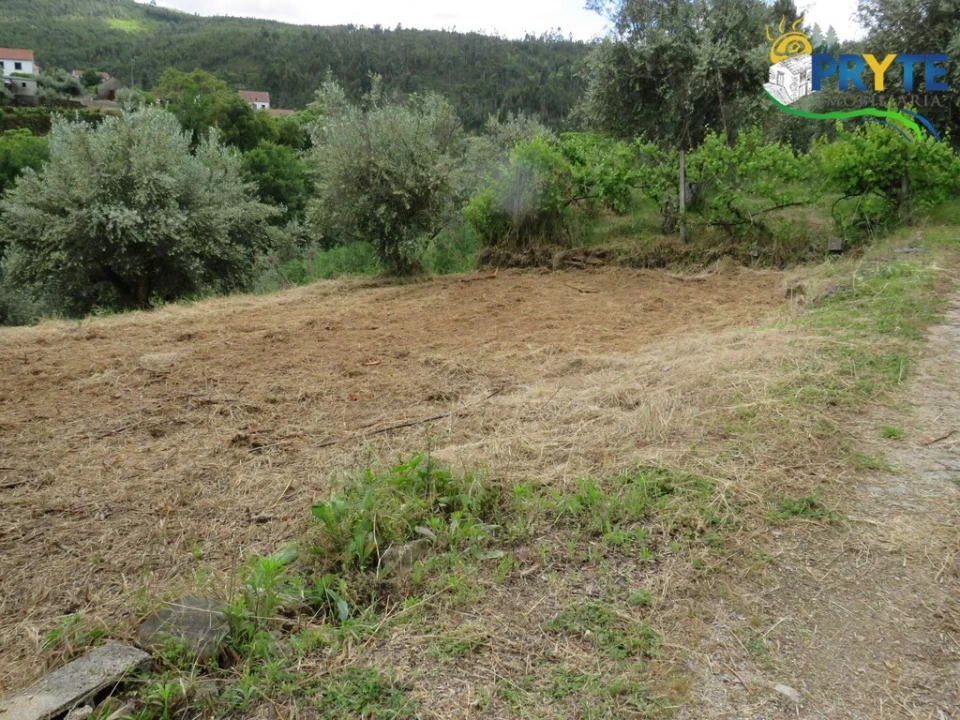 Quinta T2 para Venda em Mosteiro Foto 36