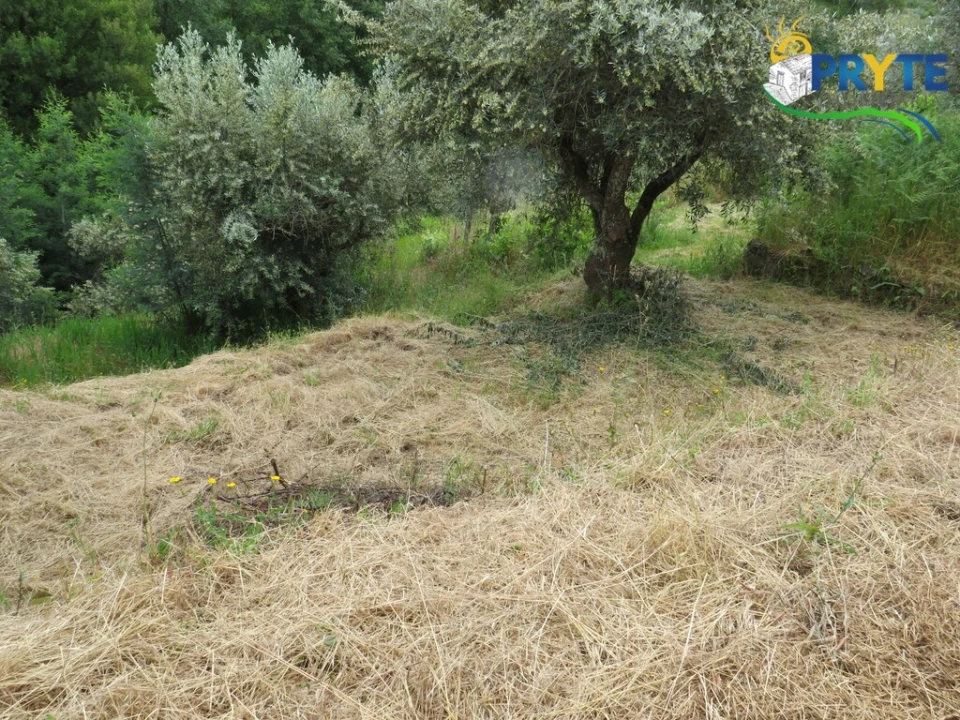 Quinta T2 para Venda em Mosteiro Foto 37