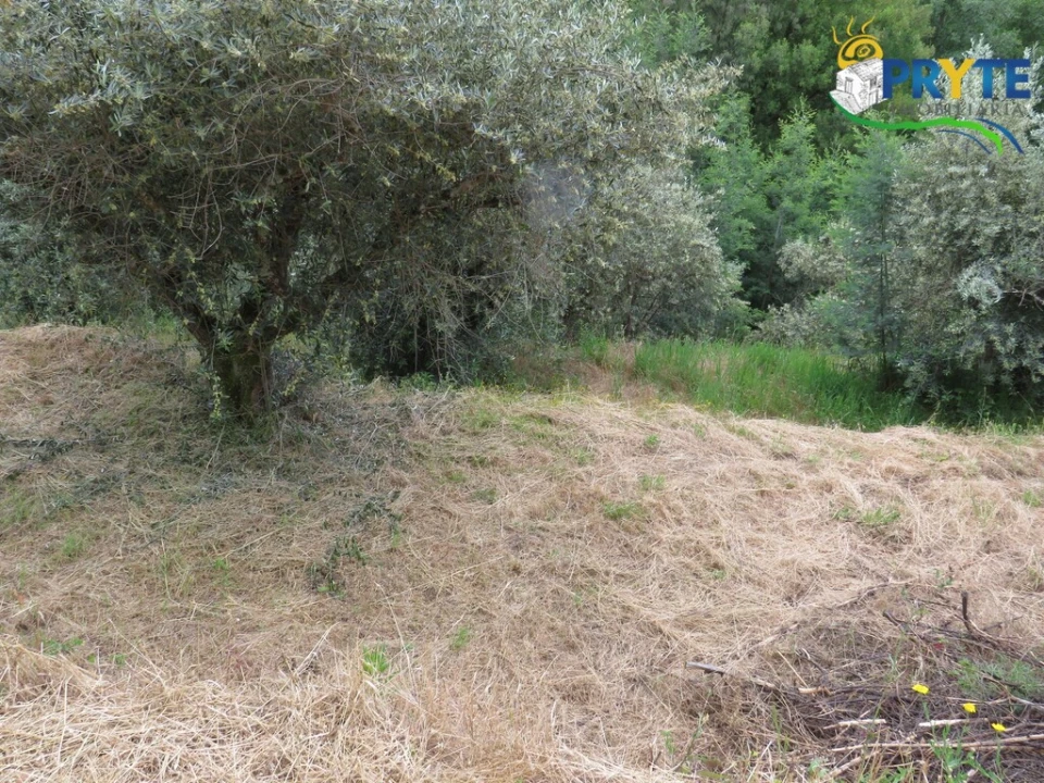 Quinta T2 para Venda em Mosteiro Foto 38