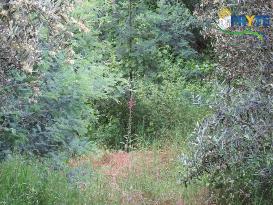 Quinta T2 para Venda em Mosteiro Foto 41