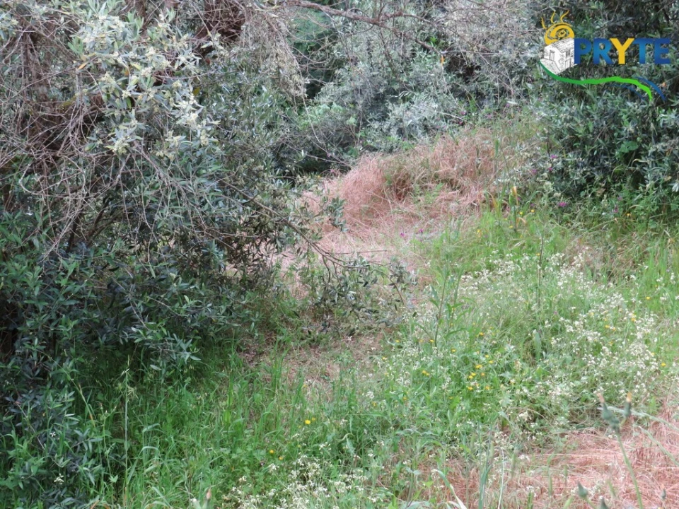 Quinta T2 para Venda em Mosteiro Foto 42