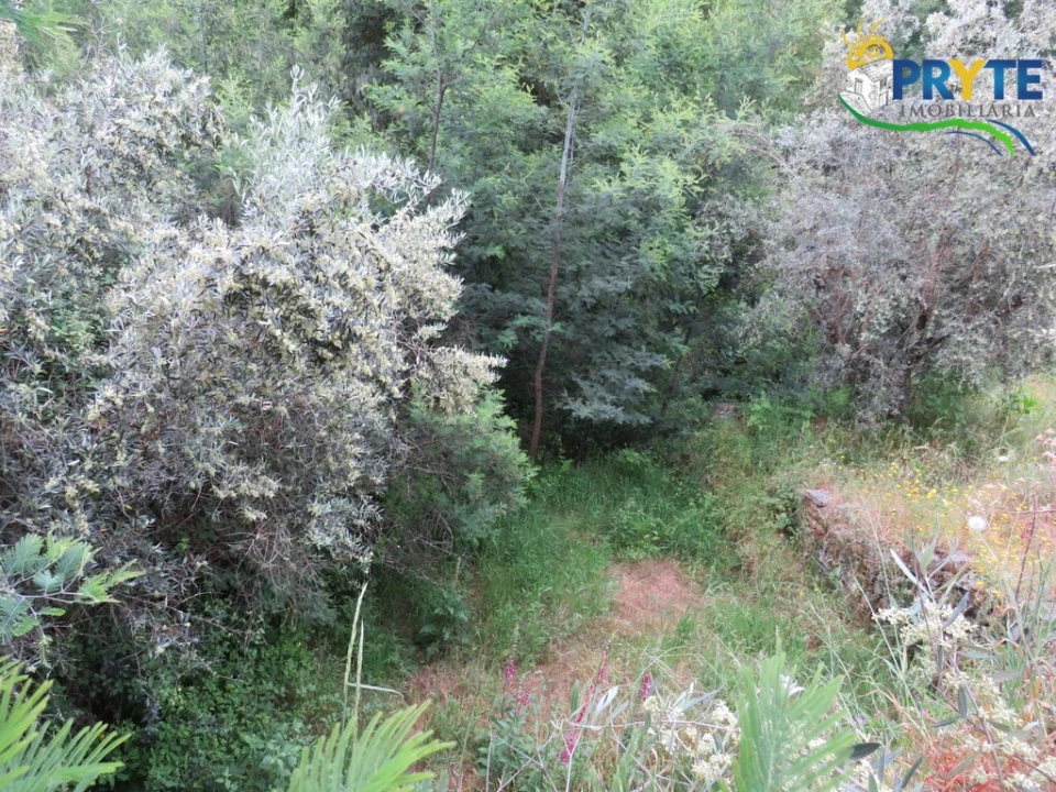 Quinta T2 para Venda em Mosteiro Foto 43