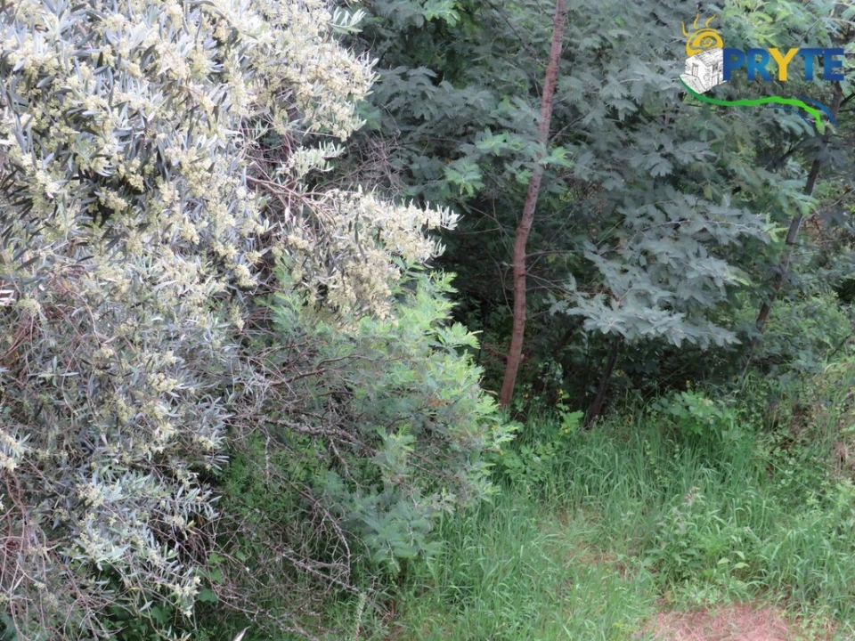 Quinta T2 para Venda em Mosteiro Foto 44