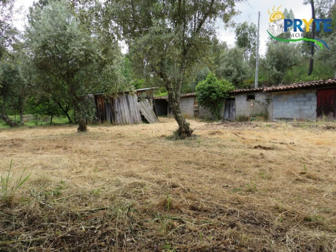 Quinta T2 para Venda em Mosteiro Foto 25