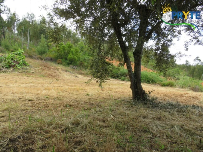 Quinta T2 para Venda em Mosteiro Foto 27