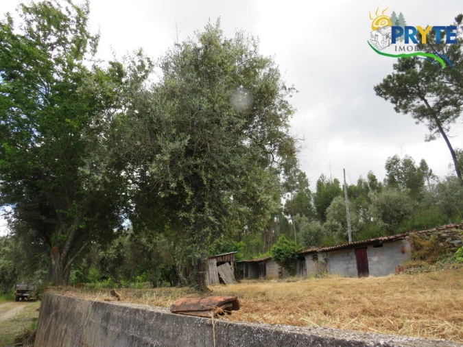 Quinta T2 para Venda em Mosteiro Foto 30