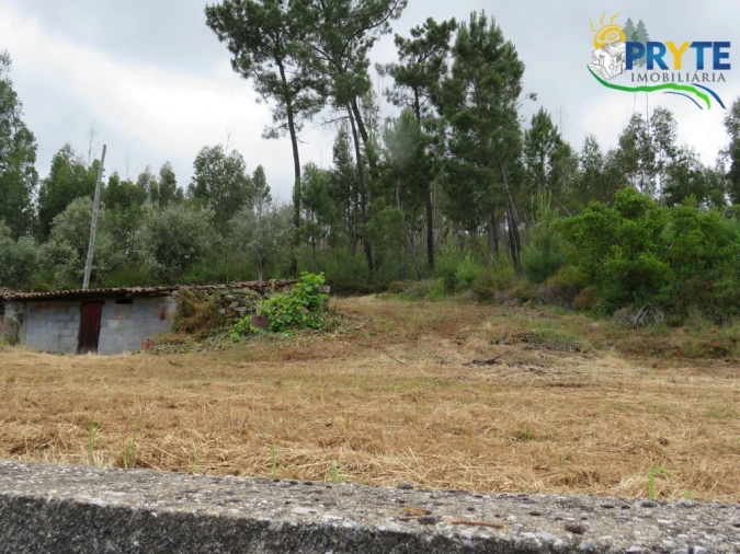 Quinta T2 para Venda em Mosteiro Foto 34