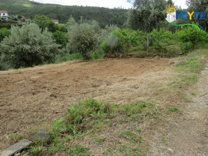 Quinta T2 para Venda em Mosteiro Foto 36