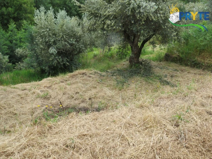 Quinta T2 para Venda em Mosteiro Foto 37