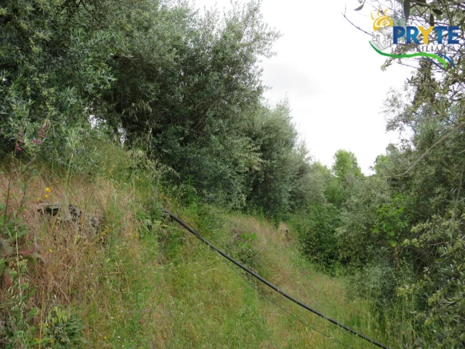 Quinta T2 para Venda em Mosteiro Foto 46