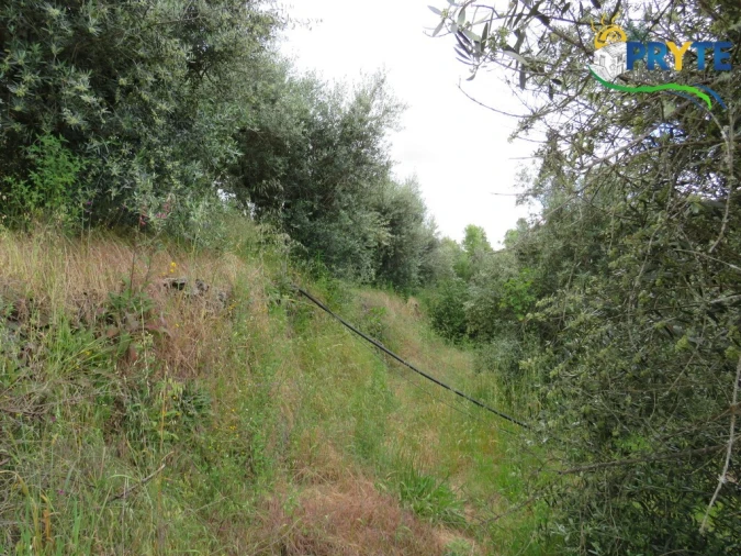 Quinta T2 para Venda em Mosteiro Foto 47