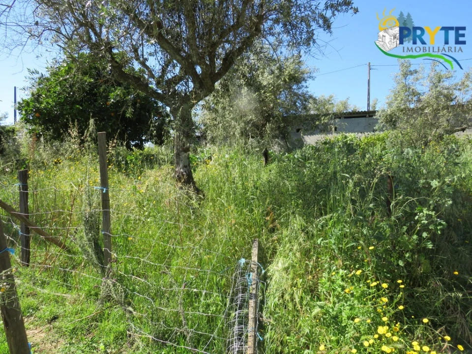Terreno para Venda em Cabeçudo Foto 15