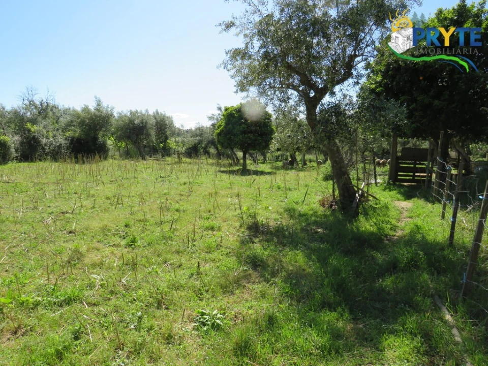 Terreno para Venda em Cabeçudo Foto 18