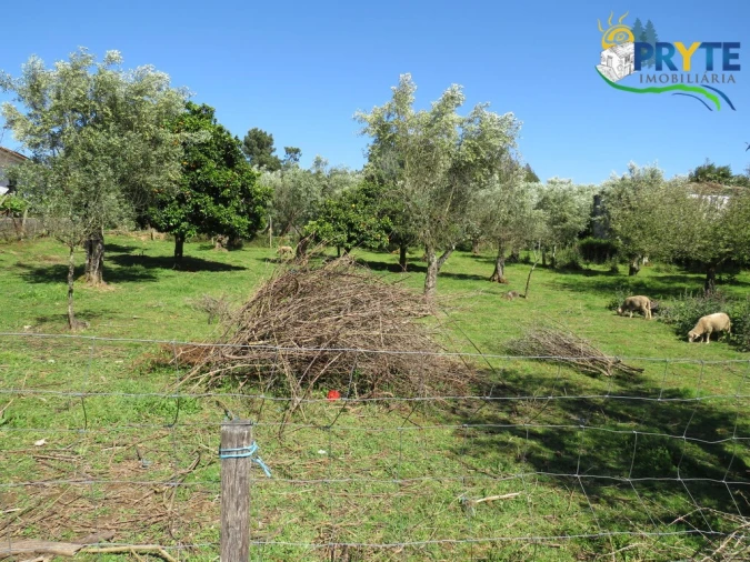 Terreno para Venda em Cabeçudo Foto 9