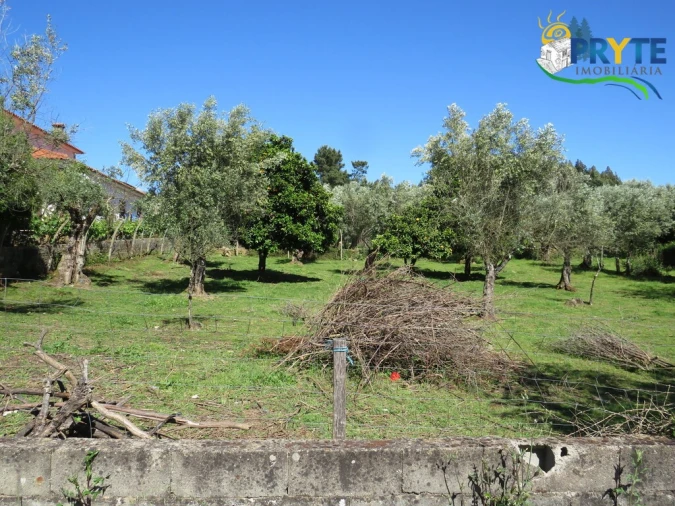 Terreno para Venda em Cabeçudo Foto 12
