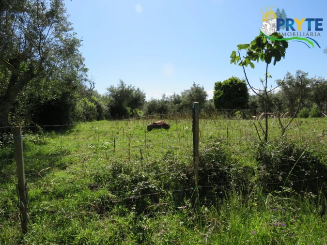 Terreno para Venda em Cabeçudo Foto 13