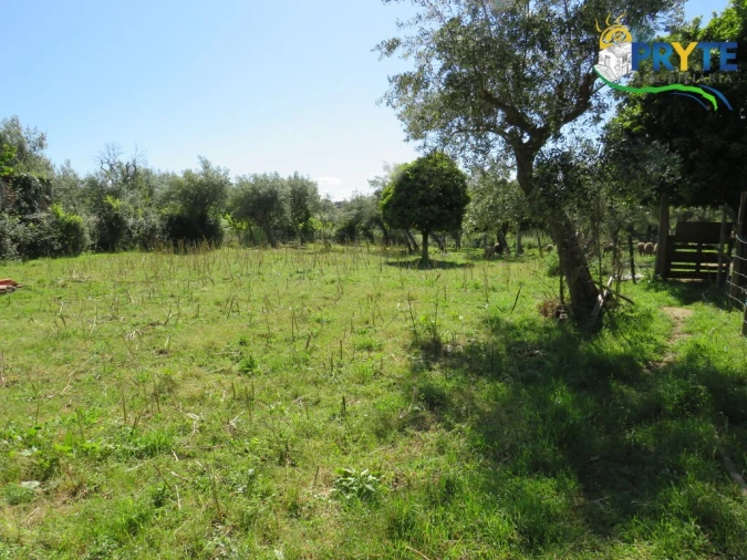 Terreno para Venda em Cabeçudo Foto 20
