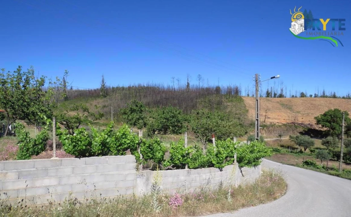 Quinta para Venda em Sertã Foto 5