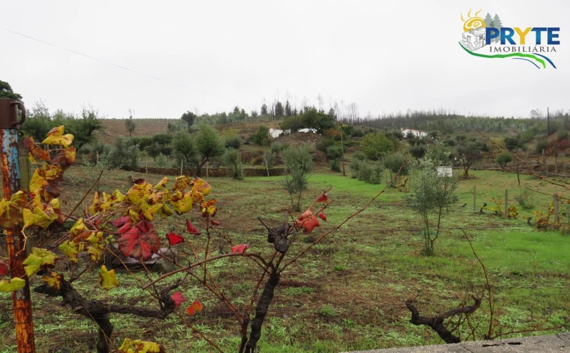 Quinta para Venda em Sertã Foto 23