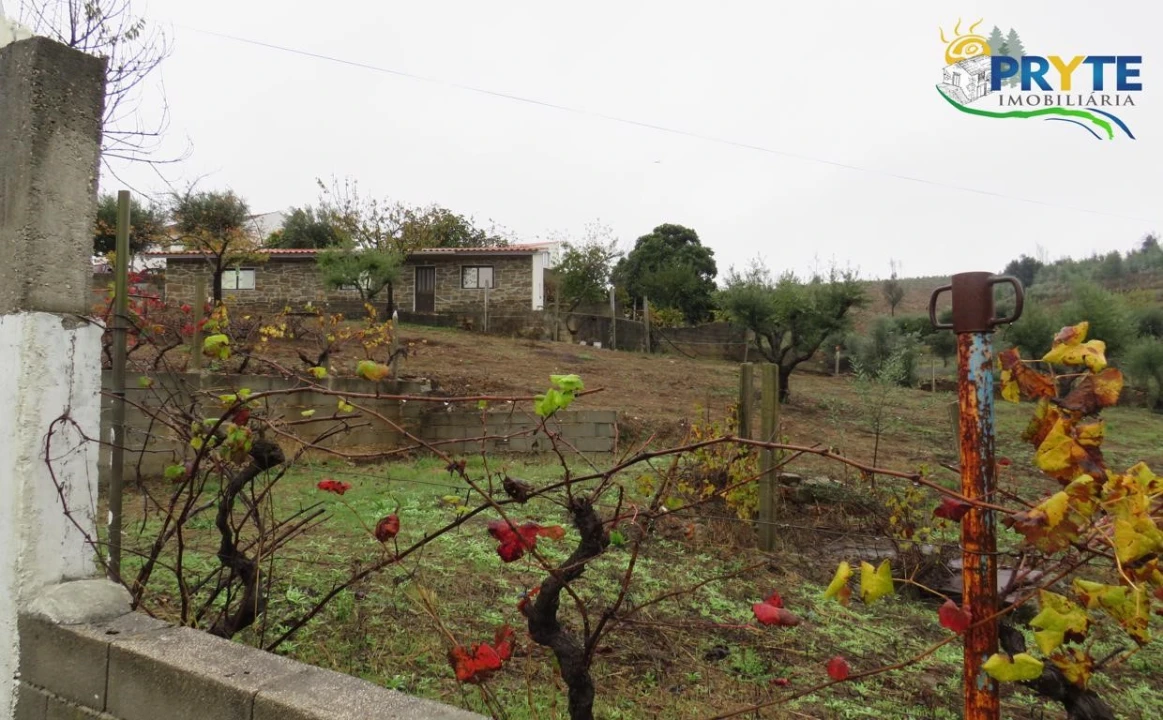 Quinta para Venda em Sertã Foto 24