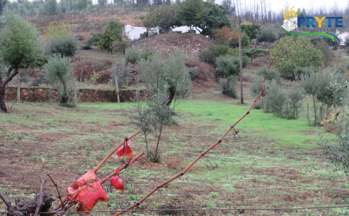 Quinta para Venda em Sertã Foto 25