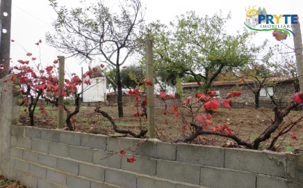 Quinta para Venda em Sertã