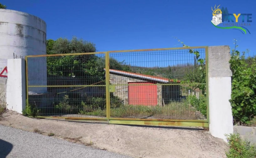 Quinta para Venda em Sertã Foto 3