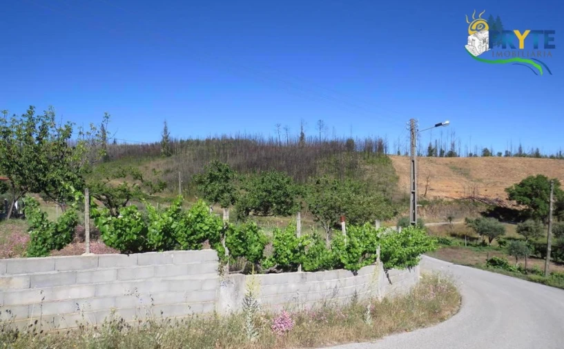 Quinta para Venda em Sertã Foto 5