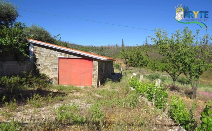 Quinta para Venda em Sertã Foto 6