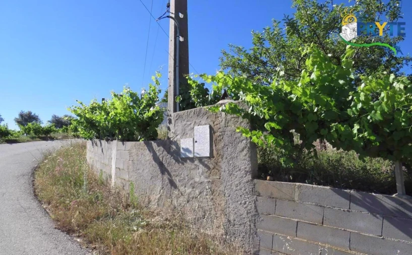 Quinta para Venda em Sertã Foto 7