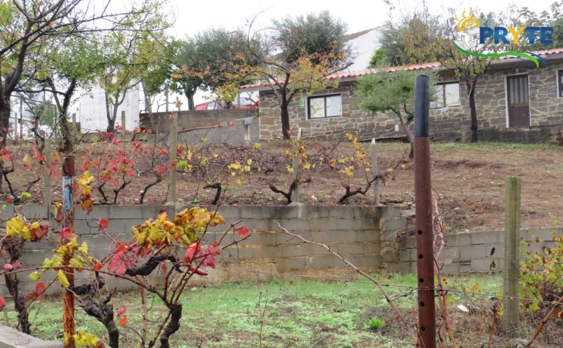 Quinta para Venda em Sertã Foto 28