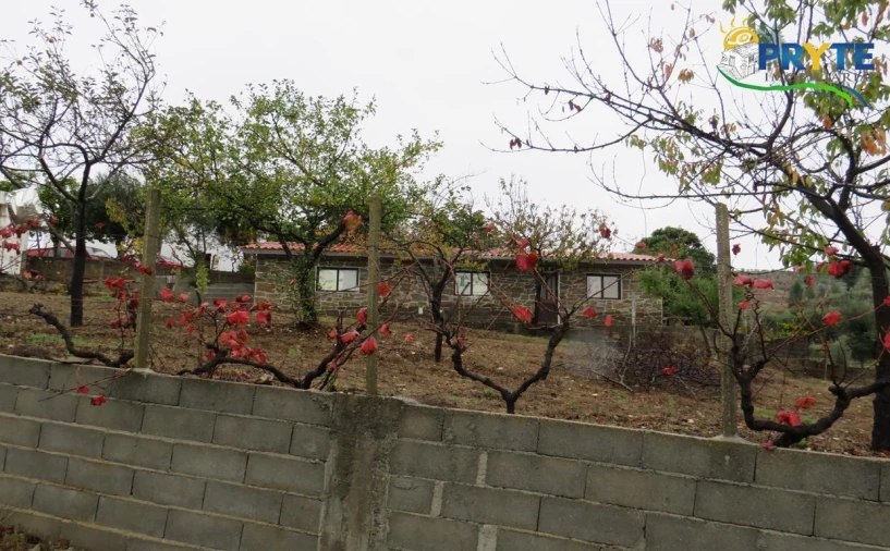 Quinta para Venda em Sertã Foto 30