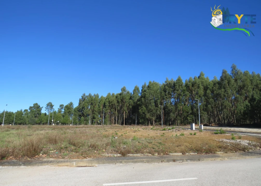 Terreno para Venda em Cernache do Bonjardim, Nesperal e Palhais Foto 2