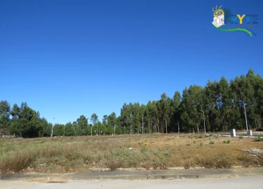 Terreno para Venda em Cernache do Bonjardim, Nesperal e Palhais
