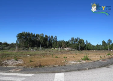 Terreno para Venda em Cernache do Bonjardim, Nesperal e Palhais