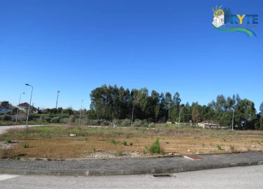 Terreno para Venda em Cernache do Bonjardim, Nesperal e Palhais