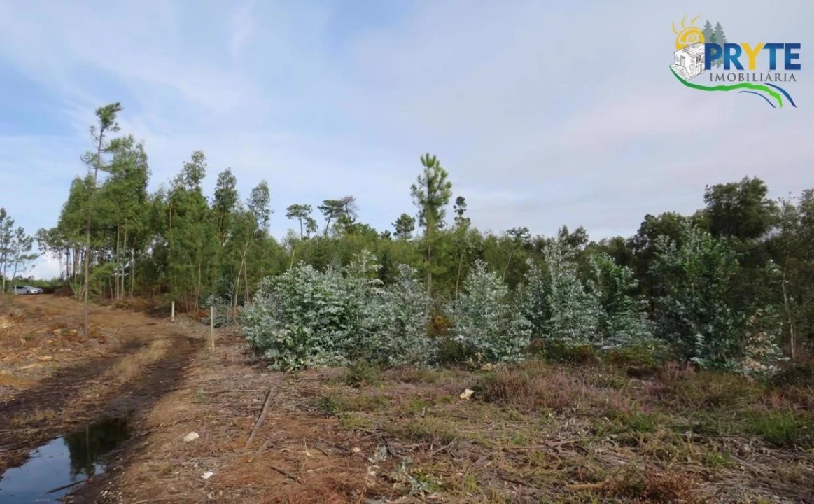 Terreno para Venda em Cabeçudo Foto 9