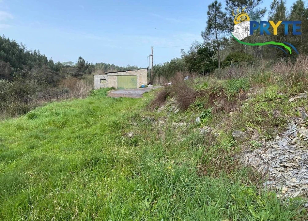 Armazém para Venda em Sertã Foto 2