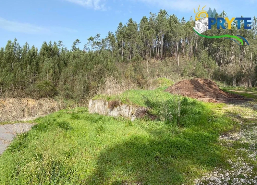 Armazém para Venda em Sertã Foto 6