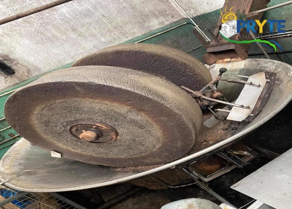 Armazém para Venda em Sertã Foto 9