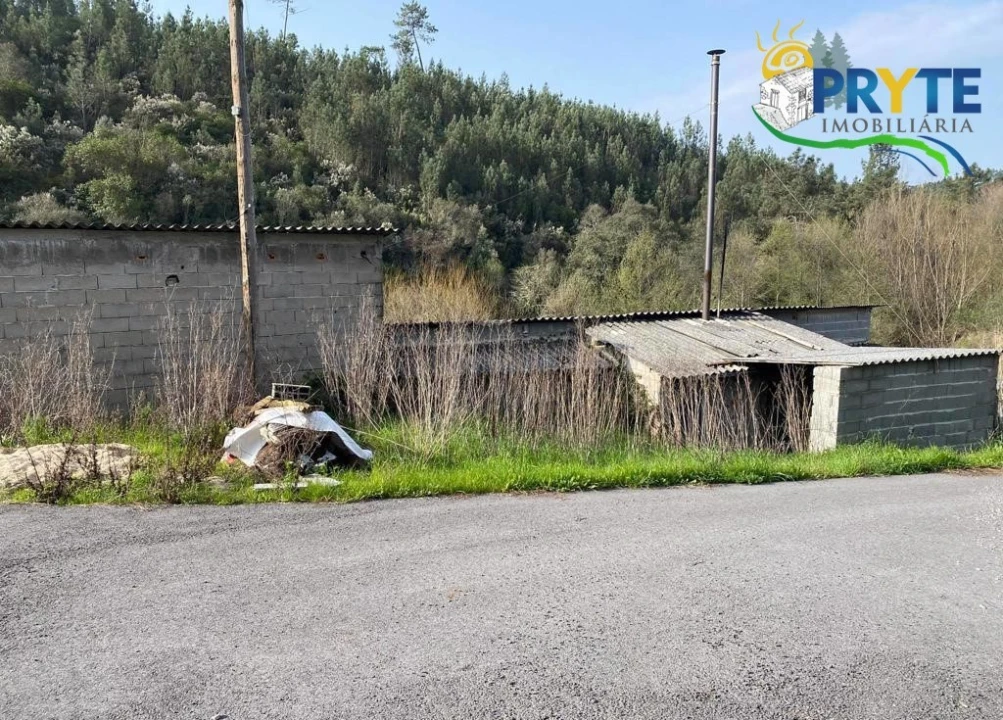 Armazém para Venda em Sertã Foto 24