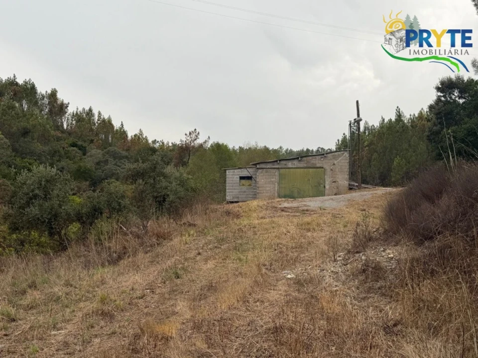 Armazém para Venda em Sertã Foto 5