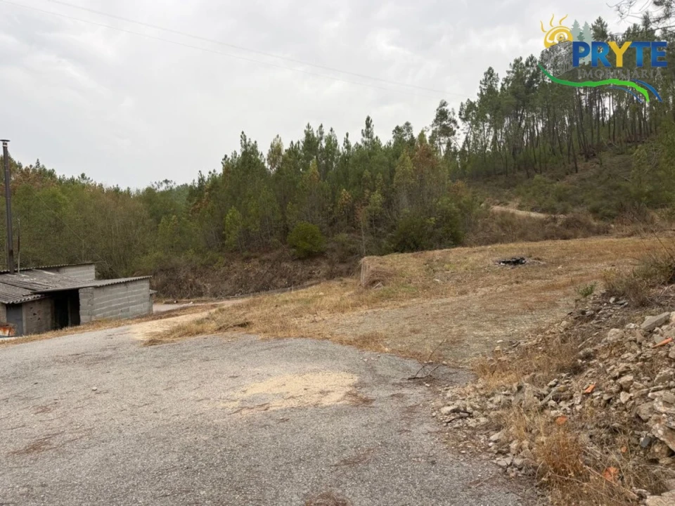 Armazém para Venda em Sertã Foto 32