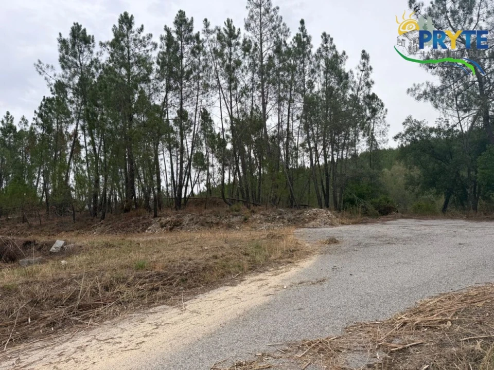 Armazém para Venda em Sertã Foto 36
