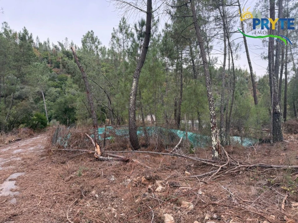 Armazém para Venda em Sertã Foto 40
