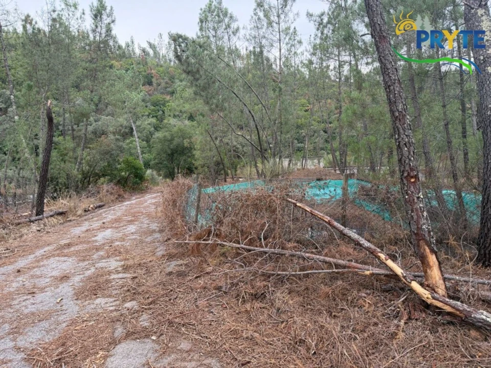 Armazém para Venda em Sertã Foto 41