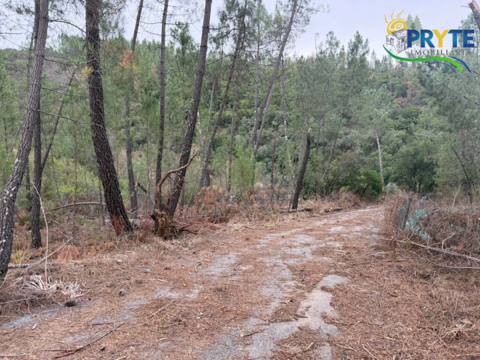 Armazém para Venda em Sertã Foto 42