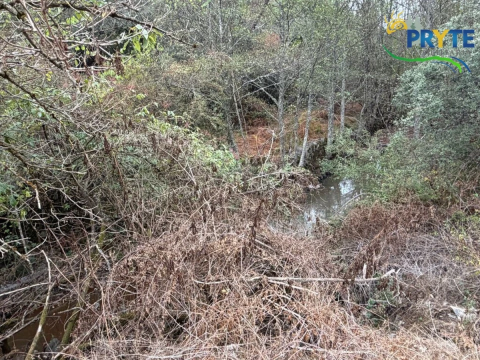 Armazém para Venda em Sertã Foto 43