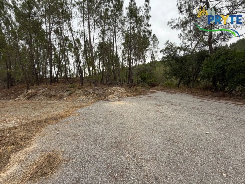 Armazém para Venda em Sertã Foto 44